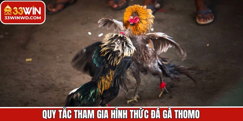 Nắm rõ quy luật trong đá gà cá cược Thomo tại 33Win
