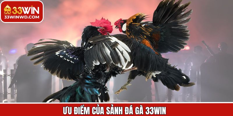 Những điểm mạnh của sảnh cược nhận được sự đánh giá cao